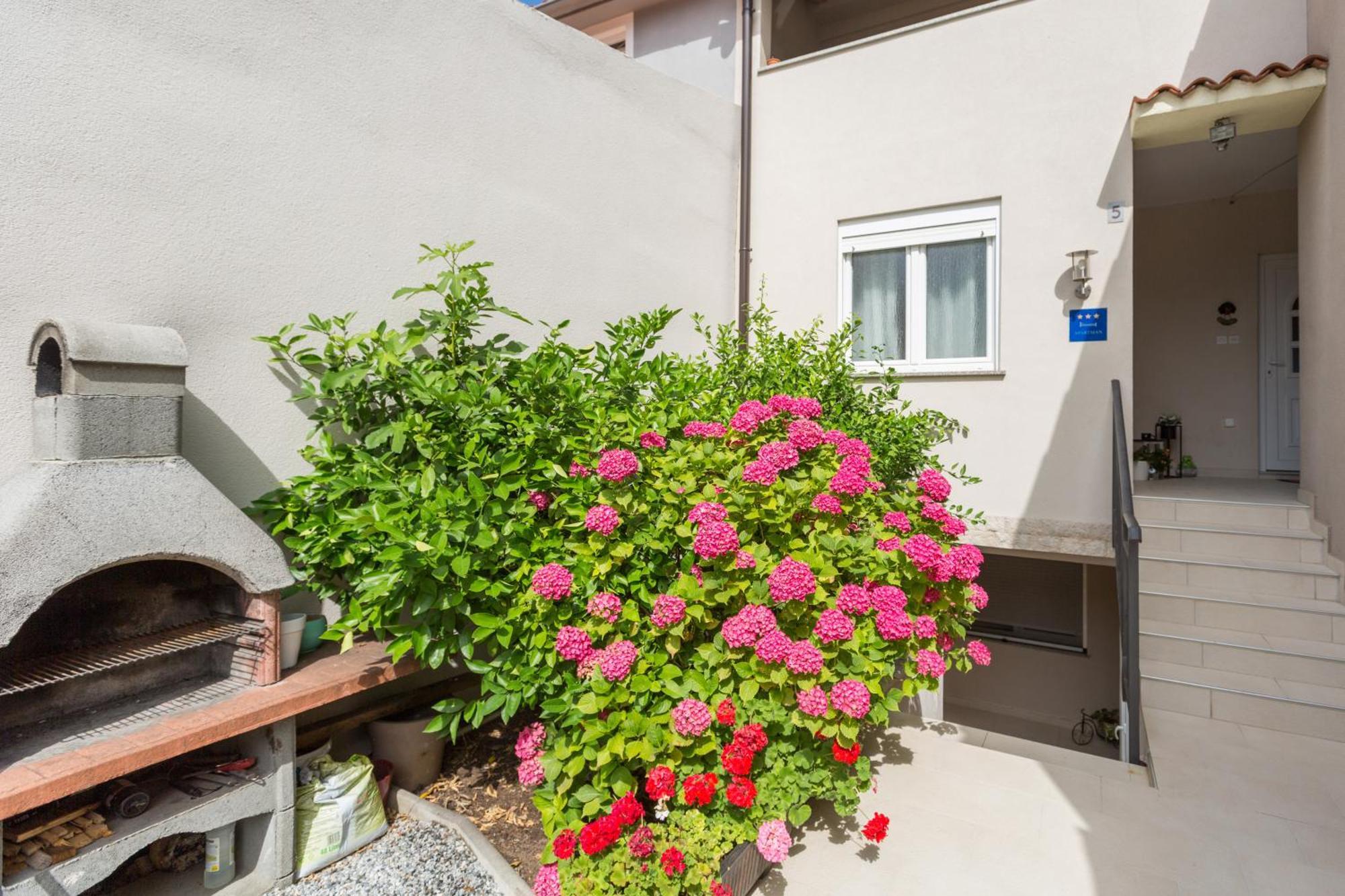 Apartment Lena Pula